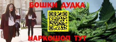 гидра Лесной