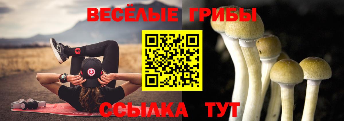 Конаково  закладки  Вход с VPN  Псилоцибиновые грибы Cubensis 